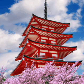 Sakura: Where Tradition Meets Modern Japan
